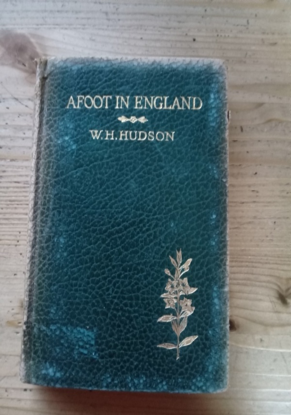 Le gesta di Rocambole La spagnuola di 