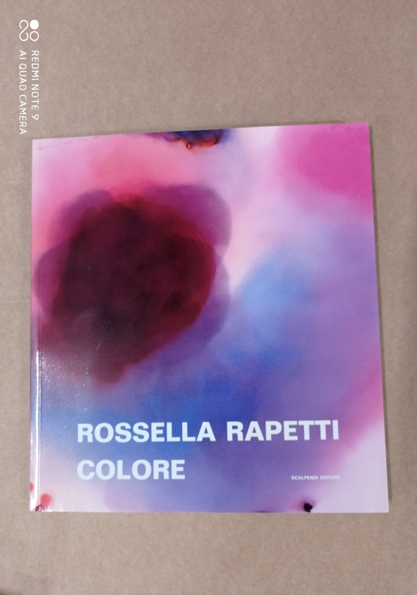 San Lanfranco di Pavia - Un monastero vallombrosano sulle rive del Ticino di 