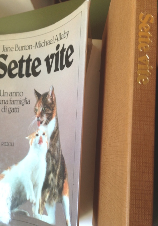 sette vite un anno in una famiglia di gatti di Michael Allaby, Jane Burton, Kim Taylor