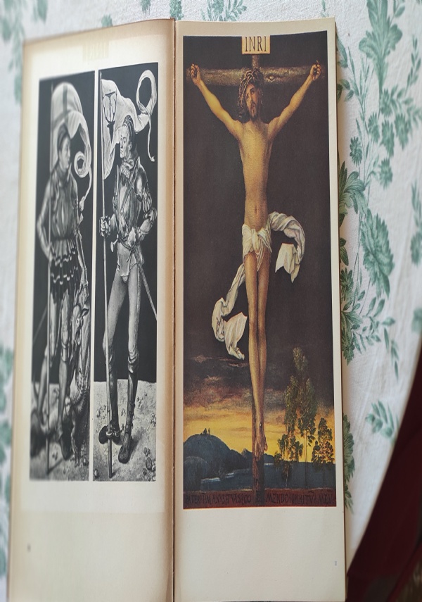 DURER di Bodmer
