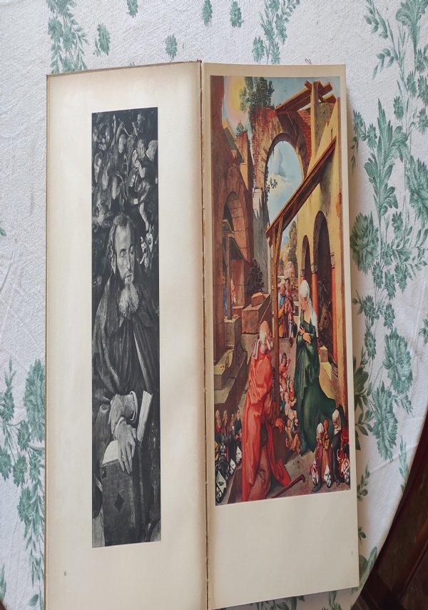 DURER di Bodmer