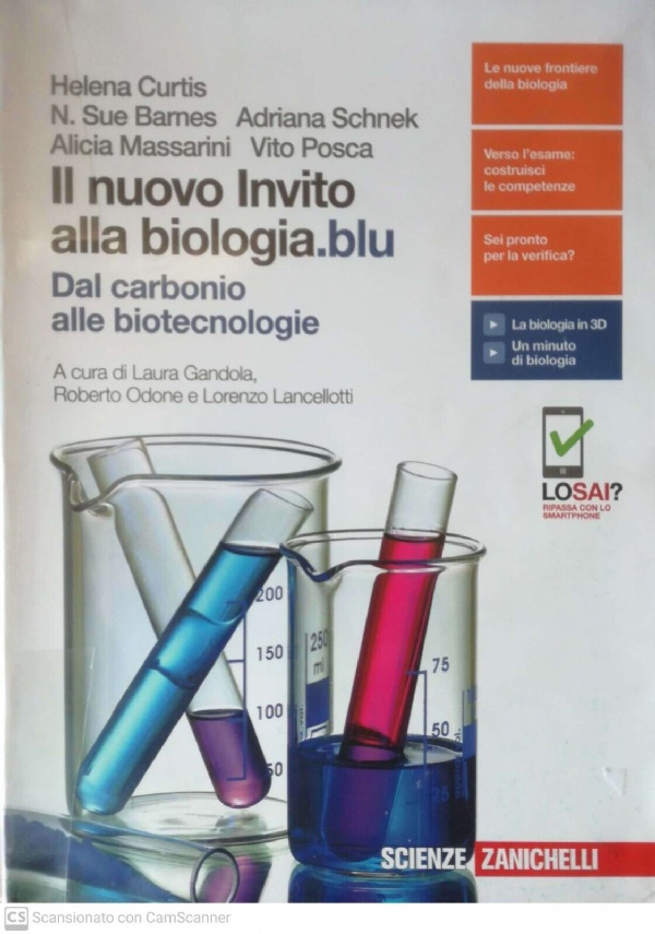 Matematica c.v.d. Calcolare, valutare, dedurre. Ediz. blu. di 