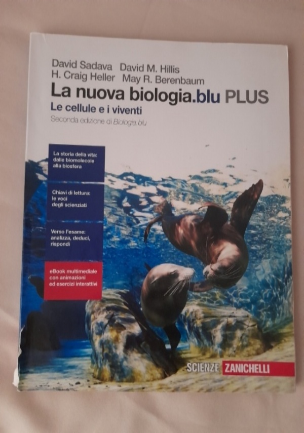 Il pi? bello dei mari B di 