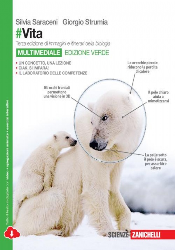 LETTURE IN UN RESPIRO Vol. B di 