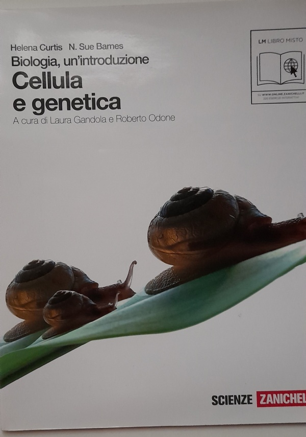 CHIMICA.VERDE Dall&rsquo;osservazione della materia alle macromolecole organiche. di 