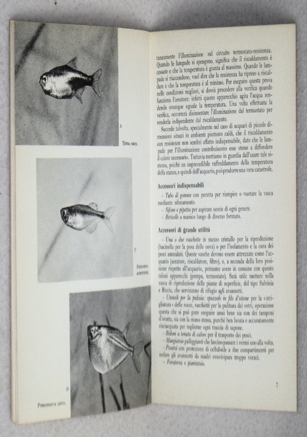 (ACQUARIOFILIA) - PESCI D’ACQUARIO - 1°ed.1963 di AA.VV
