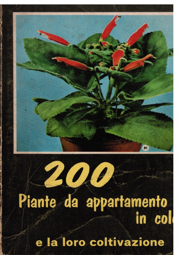 PREFERISCO VEDERCI CHIARO di 