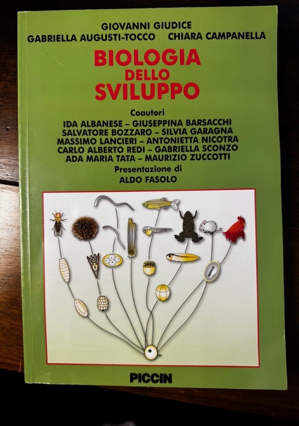 Citologia, istologia e anatomia microscopica. Con Contenuto digitale per download di 