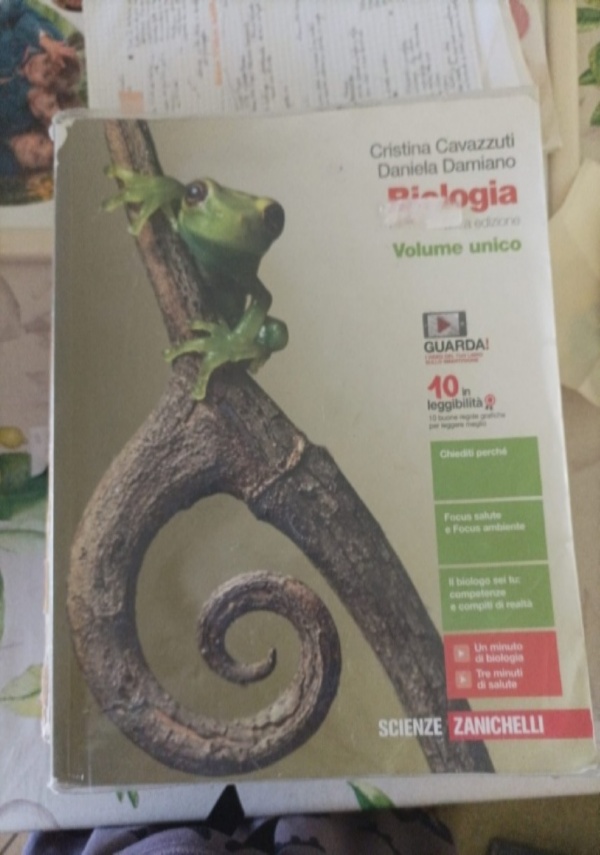 Colori della matematica-edizione azzurra smart volume 2 di 