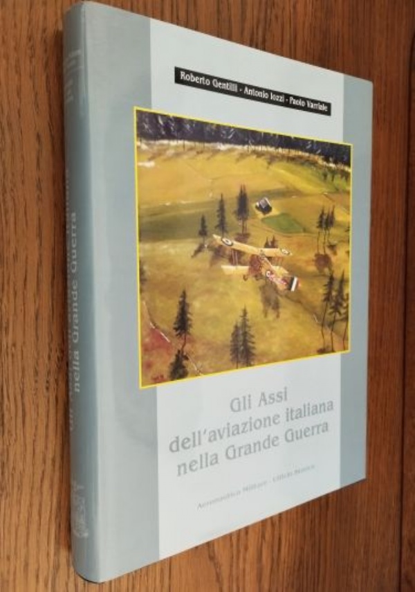 GLI ARTIGLI DELLE AQUILE L&rsquo;ARMAMENTO AEREO IN ITALIA DURANTE LA GRANDE GUERRA (AERONAUTICA PRIMA GUERRA MONDIALE) di 