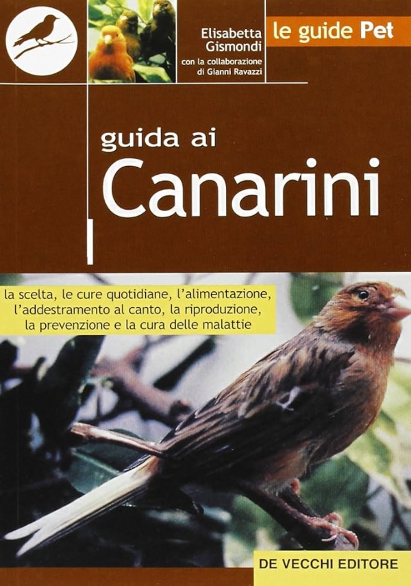 NEL LEGNO E NELLA PIETRA di 