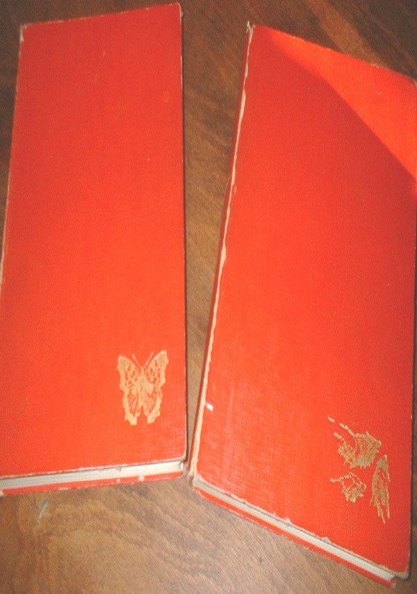 nova lexis corso di latino di 