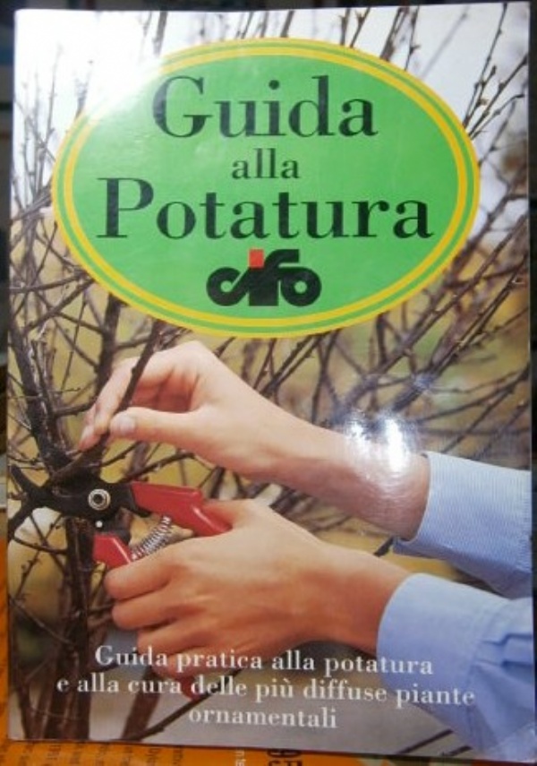 La nuova Atlantide di 