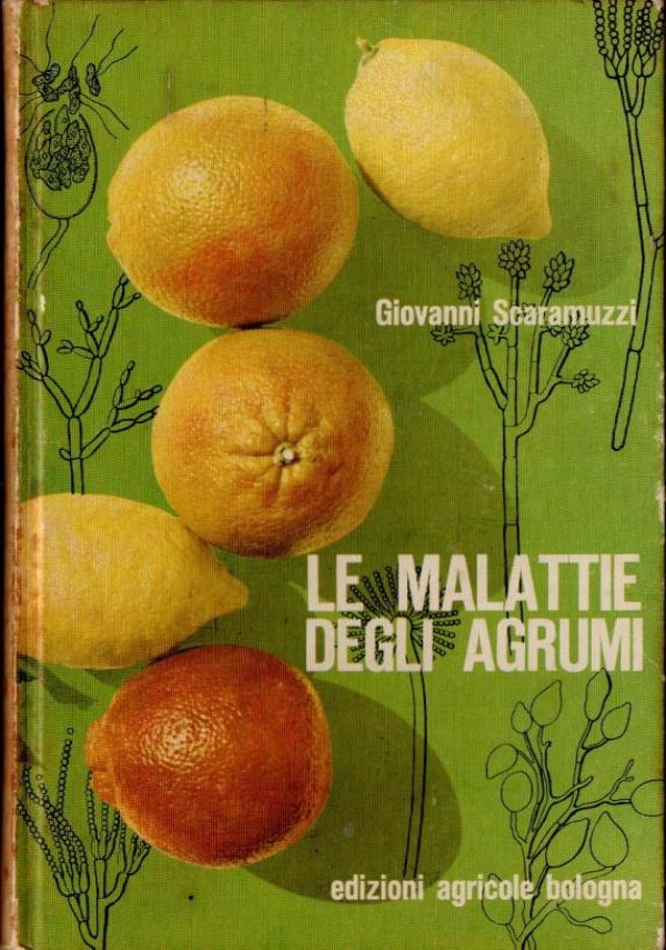 I proverbi dei mesi di 