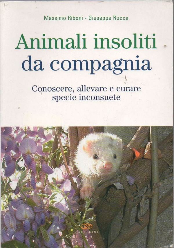 La vita segreta dei cani di 