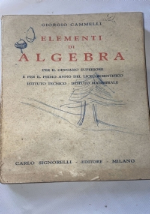 Algebra blu con statistica. volume 1 di 