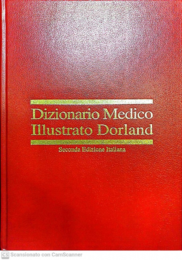  di 