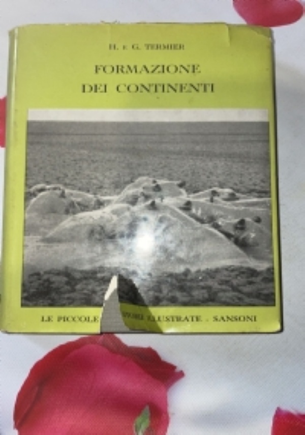 La caffettiera del masochista. Psicopatologia degli oggetti quotidiani di 