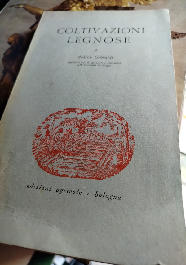 Shakespeare di 