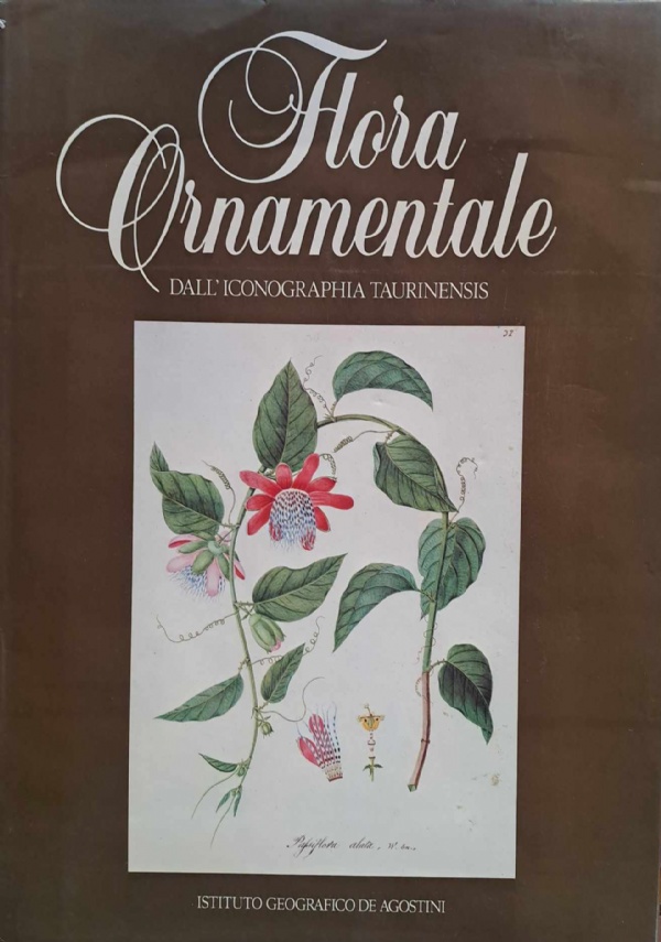 Ville e giardini. Monumenti d�Italia di 