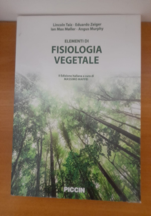 Il dio del fiume di 