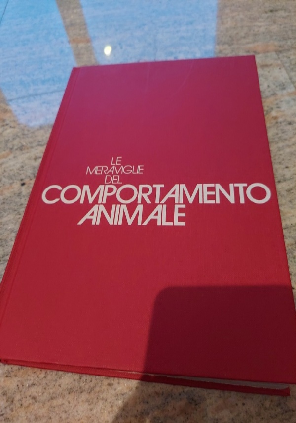 Piante in casa tutti i segreti per curare le piante ornamentali di 