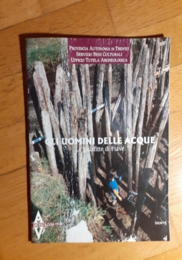 Su Nuraxi di Barumini di 