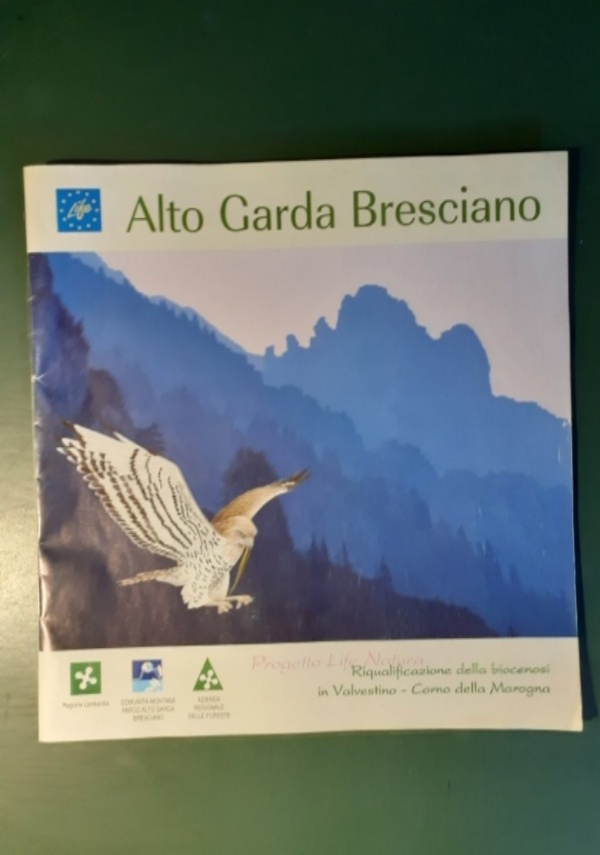 Su Nuraxi di Barumini di 