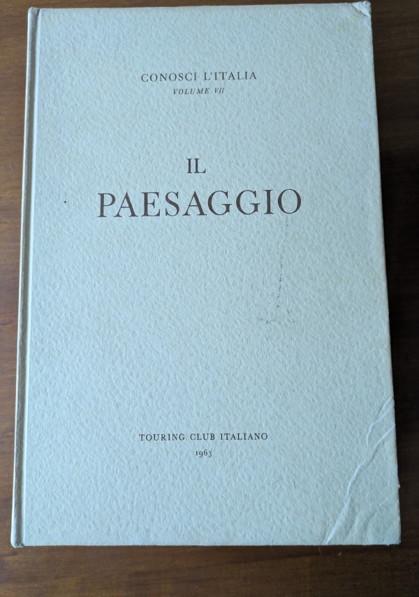 L�ARTE NEL MEDIOEVO di 