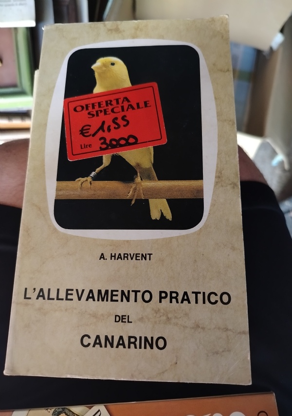 Un giudizio di dio di 