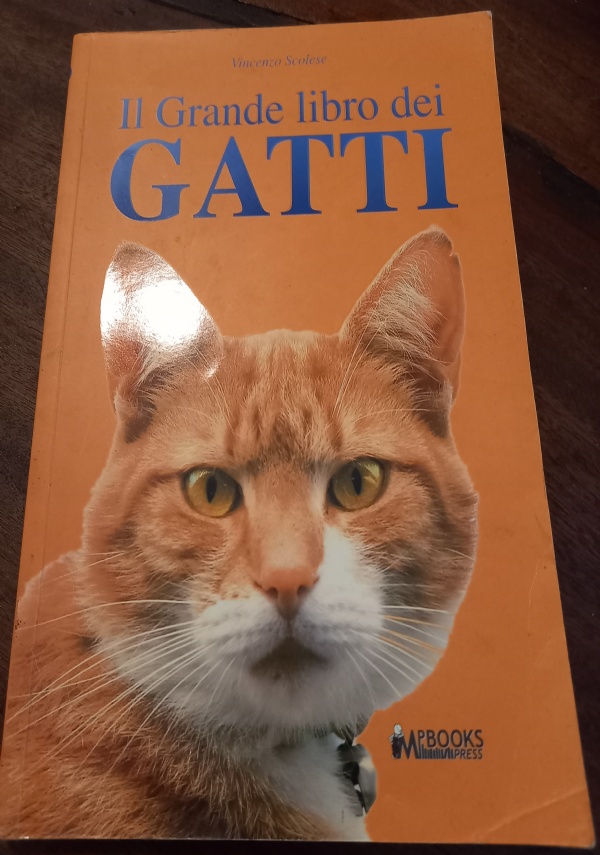 come riconoscere l�altra met� della mela evitando il bruco di 