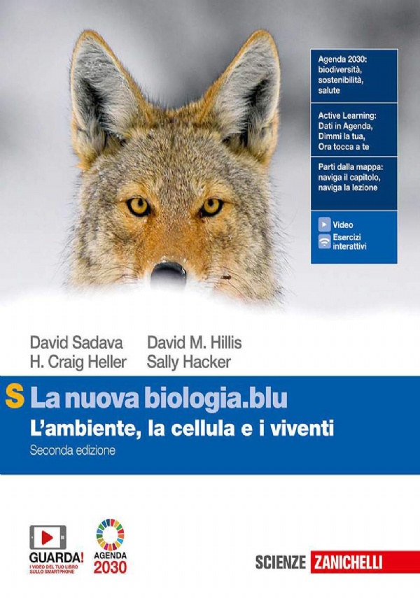 Manuale blu 2.0 di matematica. Ediz. PLUS. Con Tutor. Per le Scuole superiori. di 