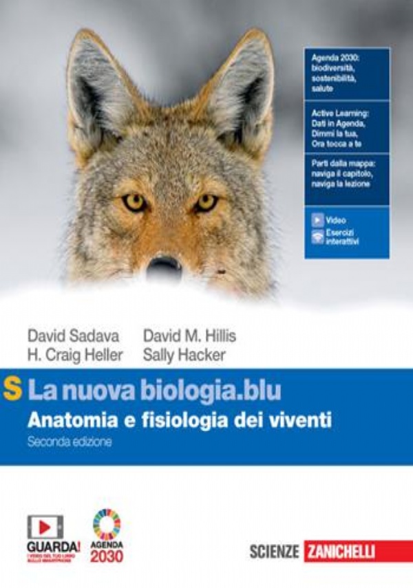 Chimica: concetti e modelli. Dalle soluzioni all&rsquo;elettrochimica. Per la Scuola secondaria di II grado. di 