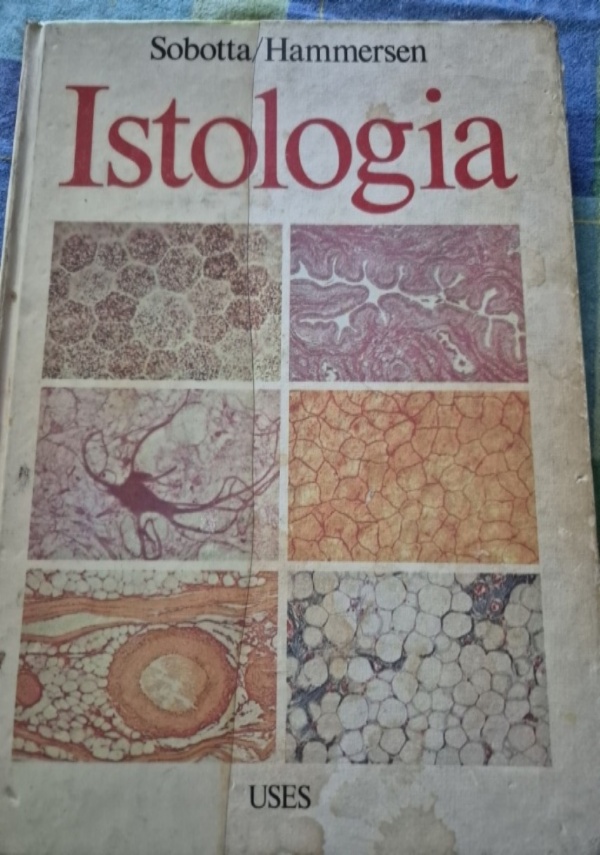 Un saggio mi ha detto di 