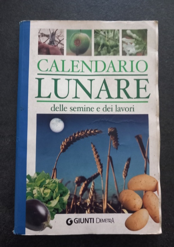 Secondo viaggio nel Regno della Fantasia. Alla ricerca della felicit� di 