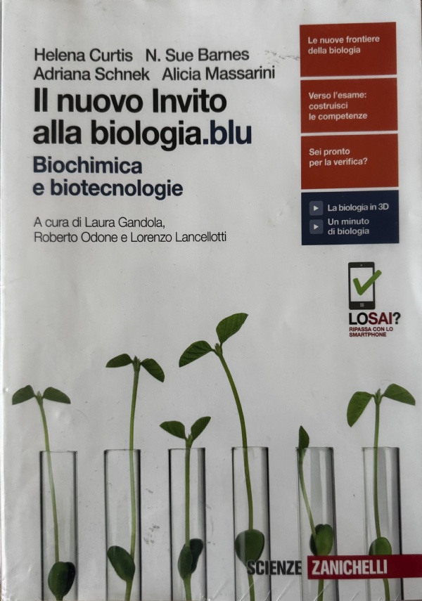 Pi� movimento di 