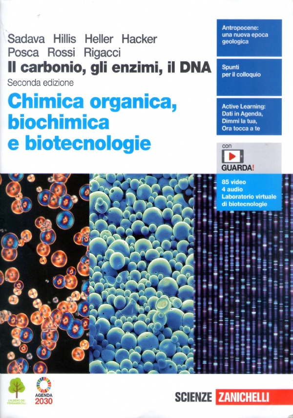 2 il nuovo Amaldi per i licei scientifici.blu - onde - campo elettronico e magnetico - terza edizione di 