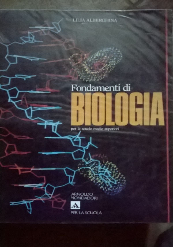 LA BOTTEGA DEI SOGNI 2 di 