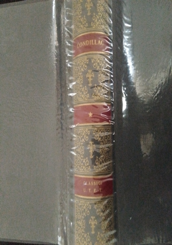 LA VERGINE NEL GIARDINO di 