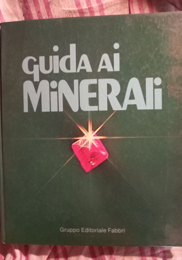 Un meschino di Allah di 