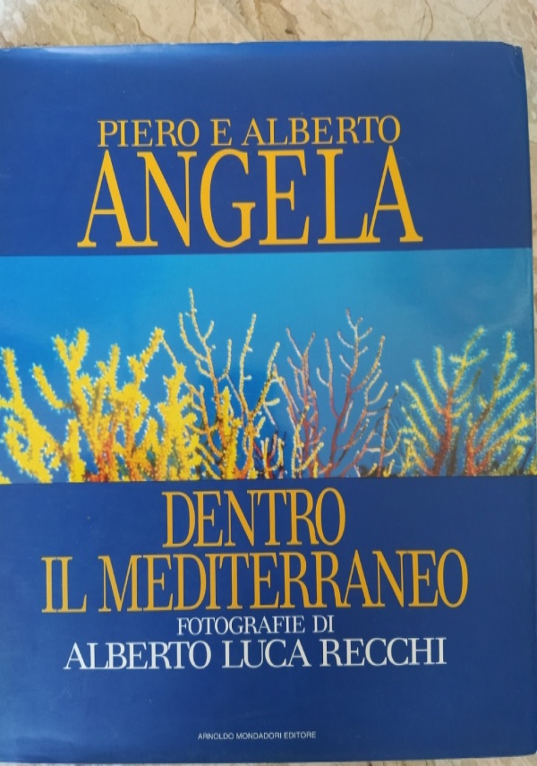 La prevenzione degli incendi boschivi I problemi e la tecniche di difesa di 