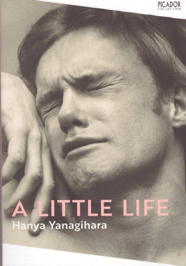 IL SALE ROSA DELLHIMALAYA di Autore