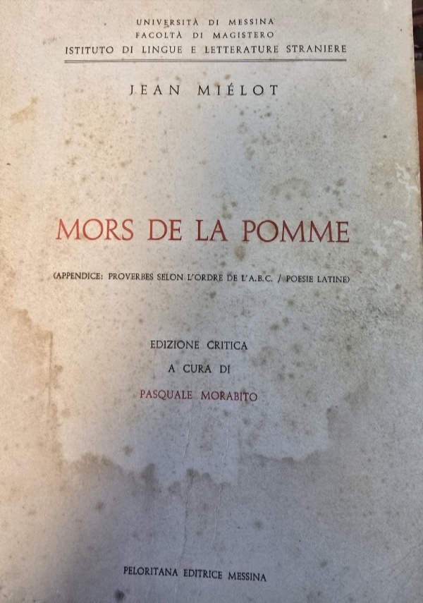 Matematica su misura di 