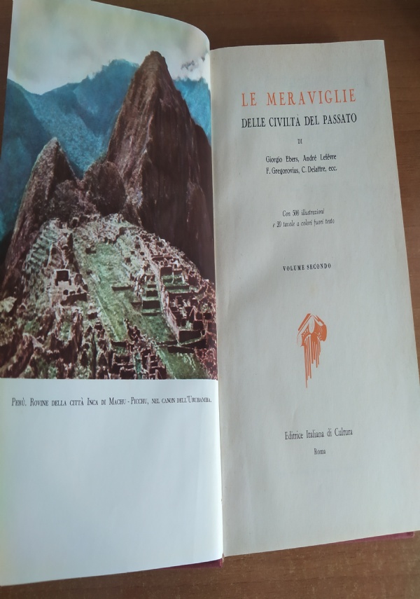 Il clandestino - Pagg. 501 di 