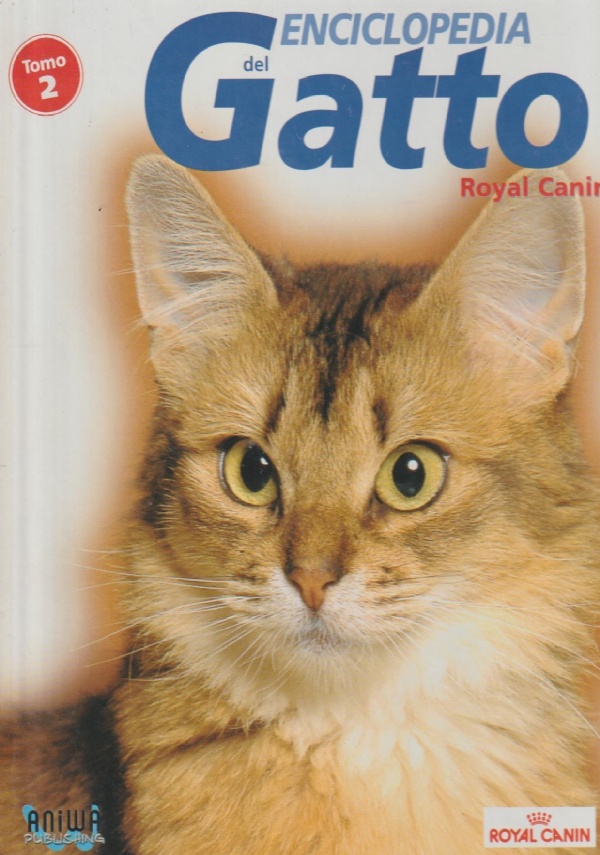 L�ape Maia  -  La bottiglia di Willy di 