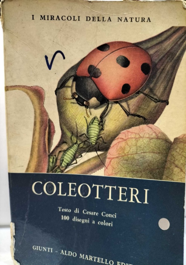  di 