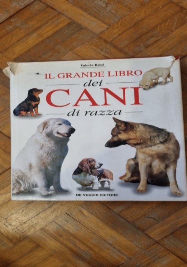 TRIORA e il suo territorio di 