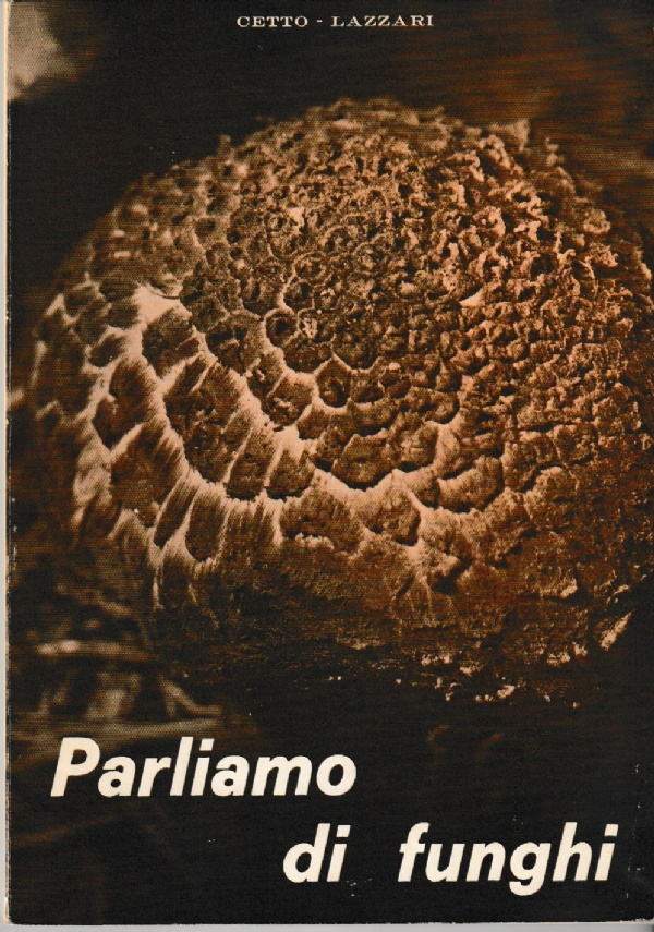 Autoritratto. Accardi - Alviani - Castellani - Consagra - Fabro - Fontana - Kounellis - Nigro - Paolini - Pascali - Rotella - Scarpitta - Turcato -  Twombly. Con uno scritto di Laura Iamurri di 