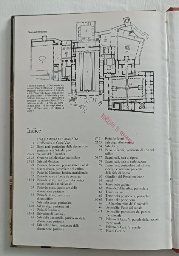 L’ALHAMBRA DI GRANADA di Vian Cesco