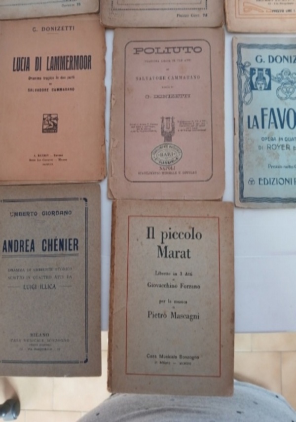 La Favorita di 